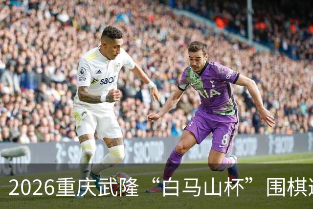 2026重庆武隆“白马山杯”围棋邀请赛隆重开启